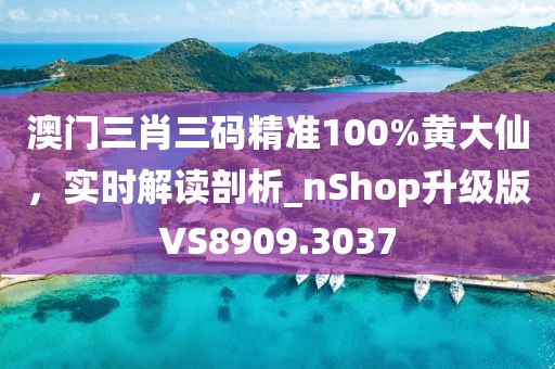 澳門(mén)三肖三碼精準(zhǔn)100%黃大仙，實(shí)時(shí)解讀剖析_nShop升級(jí)版VS8909.3037