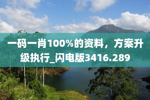 一碼一肖100%的資料，方案升級(jí)執(zhí)行_閃電版3416.289