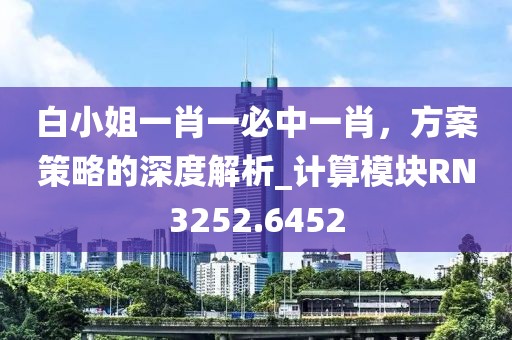 白小姐一肖一必中一肖，方案策略的深度解析_計(jì)算模塊RN3252.6452
