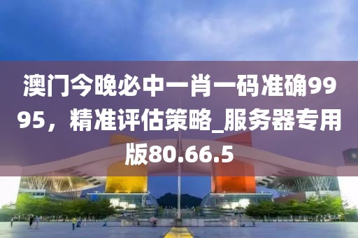澳門今晚必中一肖一碼準確9995，精準評估策略_服務器專用版80.66.5