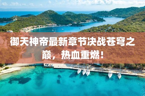 御天神帝最新章節(jié)決戰(zhàn)蒼穹之巔，熱血重燃！