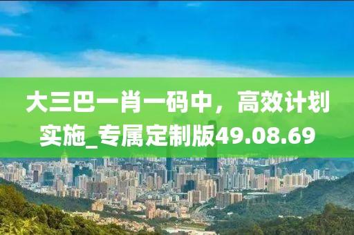 大三巴一肖一碼中，高效計(jì)劃實(shí)施_專屬定制版49.08.69