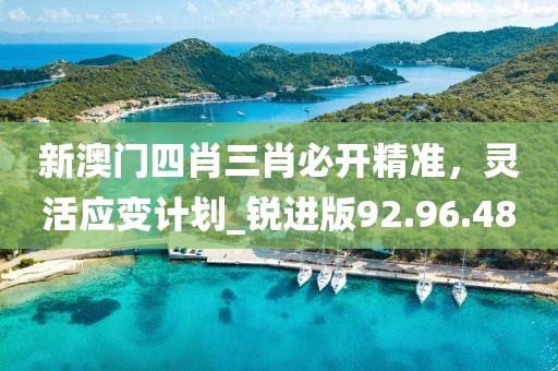 新澳門四肖三肖必開精準，靈活應變計劃_銳進版92.96.48