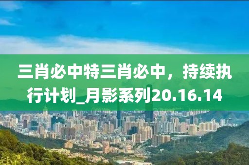 三肖必中特三肖必中，持續(xù)執(zhí)行計(jì)劃_月影系列20.16.14