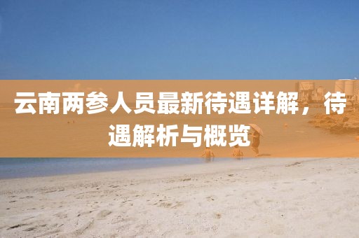 云南兩參人員最新待遇詳解，待遇解析與概覽