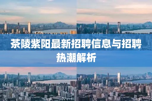 茶陵紫陽(yáng)最新招聘信息與招聘熱潮解析