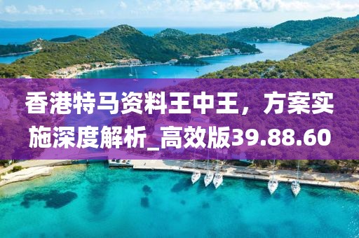 香港特馬資料王中王，方案實(shí)施深度解析_高效版39.88.60