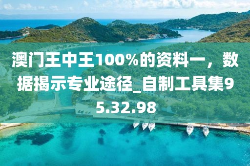 澳門王中王100%的資料一，數(shù)據(jù)揭示專業(yè)途徑_自制工具集95.32.98