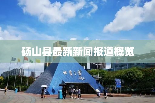 碭山縣最新新聞報(bào)道概覽