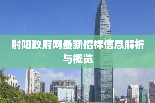 射陽(yáng)政府網(wǎng)最新招標(biāo)信息解析與概覽
