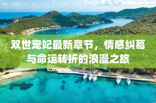雙世寵妃最新章節(jié)，情感糾葛與命運(yùn)轉(zhuǎn)折的浪漫之旅