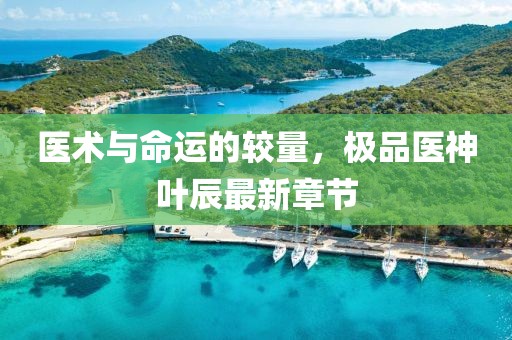醫(yī)術(shù)與命運(yùn)的較量，極品醫(yī)神葉辰最新章節(jié)