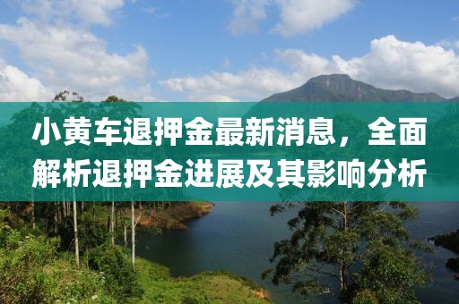 小黃車退押金最新消息，全面解析退押金進(jìn)展及其影響分析