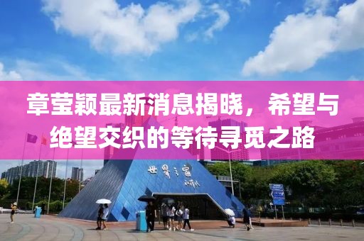 章瑩穎最新消息揭曉，希望與絕望交織的等待尋覓之路