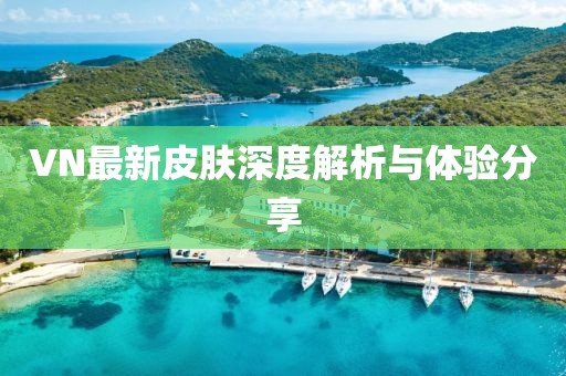 VN最新皮膚深度解析與體驗(yàn)分享