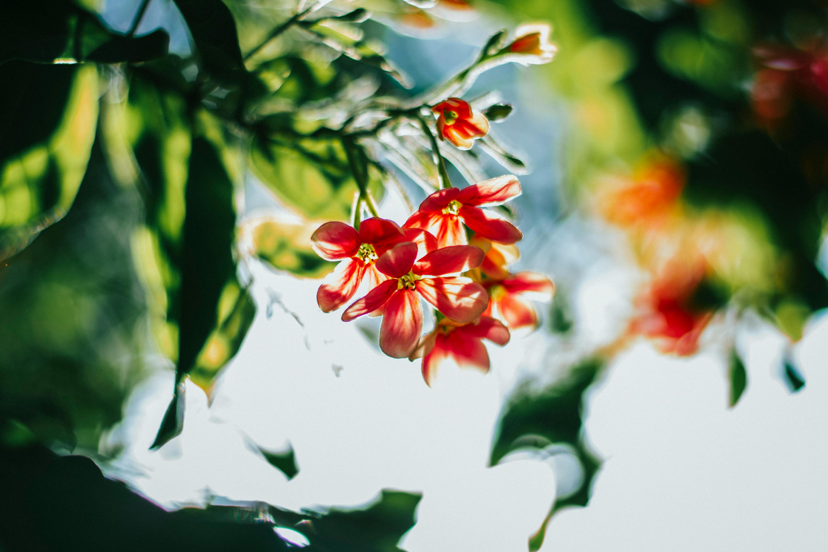 縣域發(fā)展新動(dòng)態(tài)與社會(huì)熱點(diǎn)聚焦，最新舒城新聞綜述