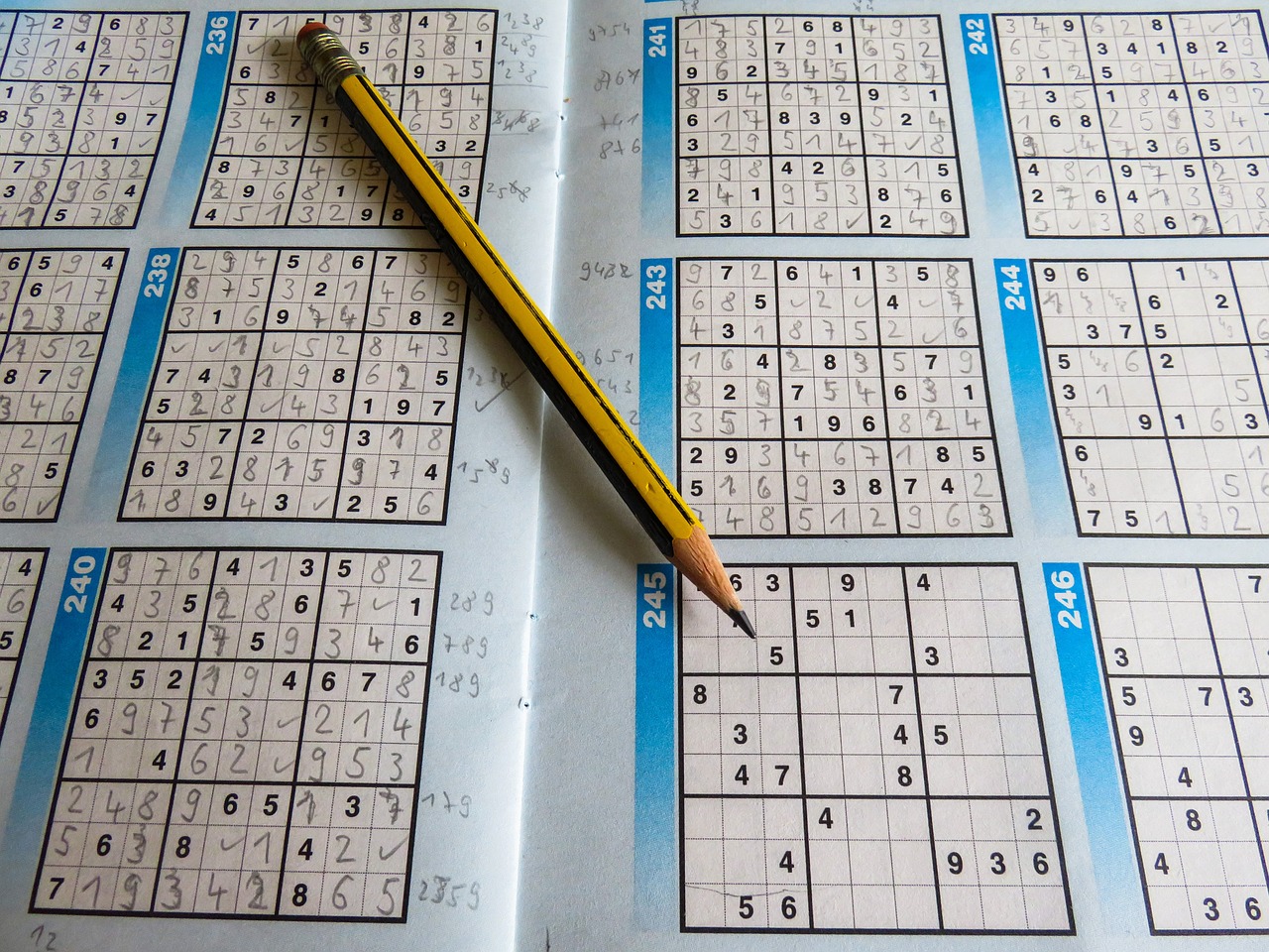 2024正版資料免費(fèi)看，全身心解答具體_性能版ZM7497.4919