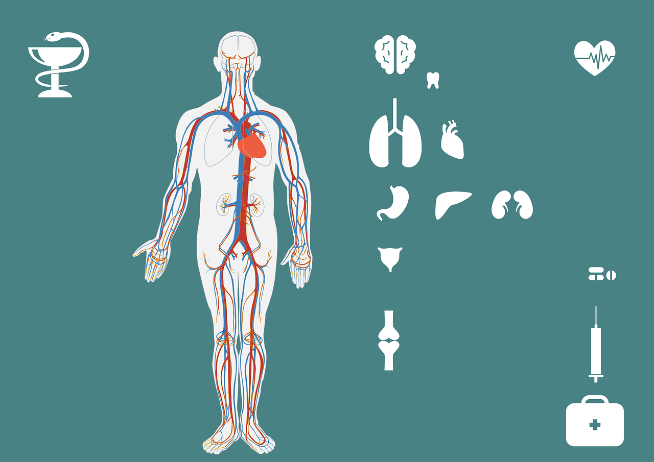 發(fā)作性睡病研究新進(jìn)展與未來展望，最新突破揭秘！