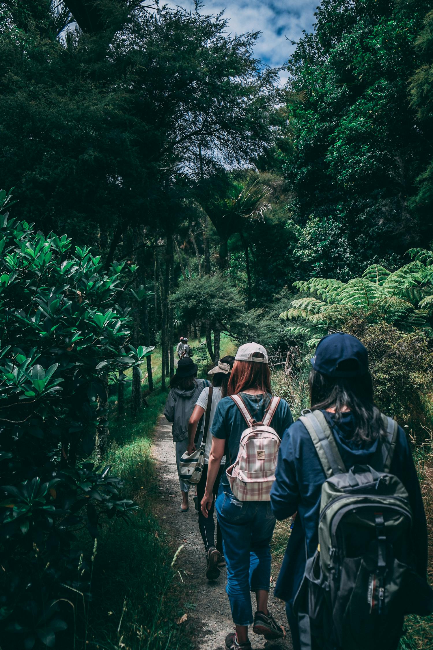 穿越迷霧的冒險之旅，俺是一個賊最新章節(jié)
