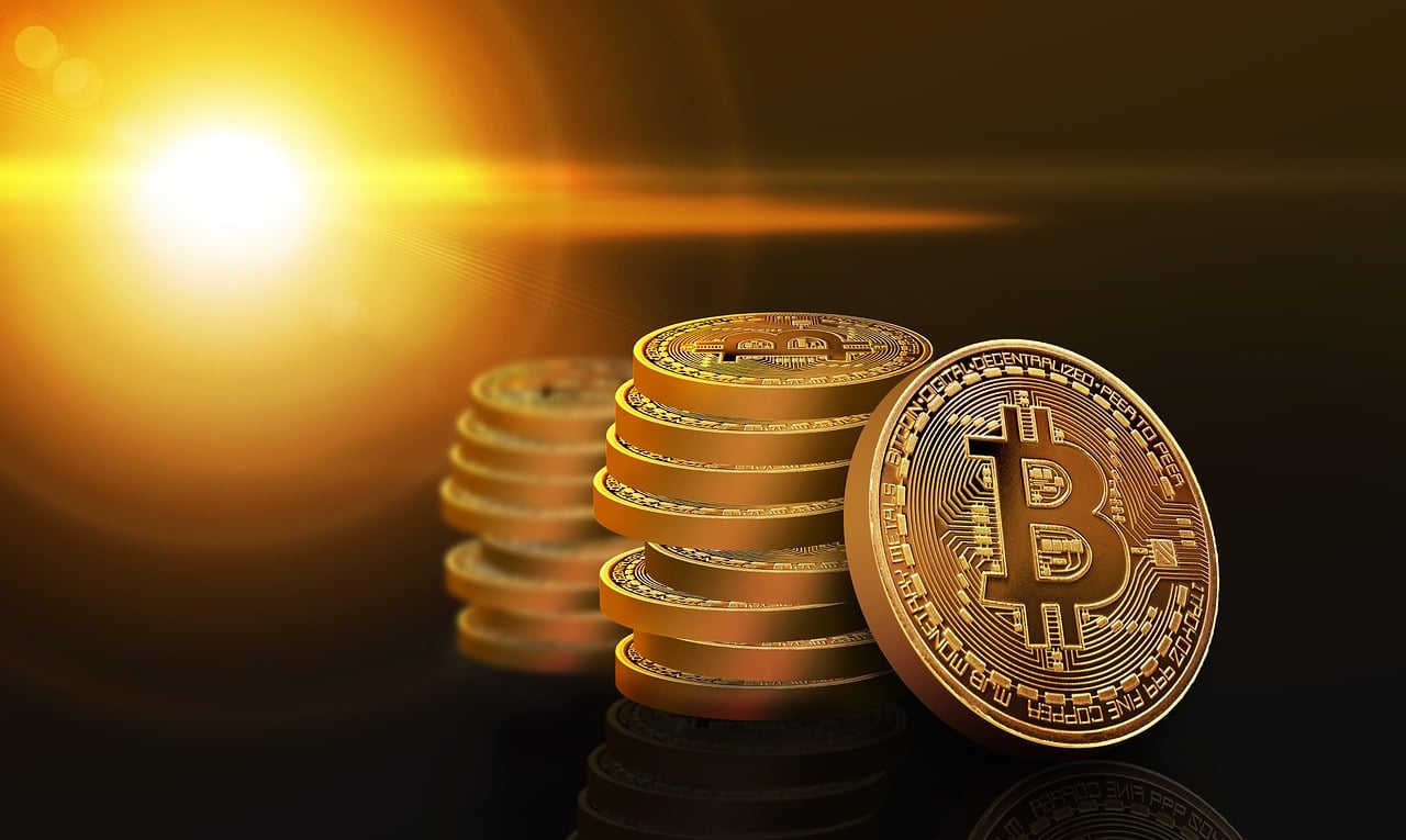 忘仙答題最新答案解析與探討，揭秘最新答案及探討交流