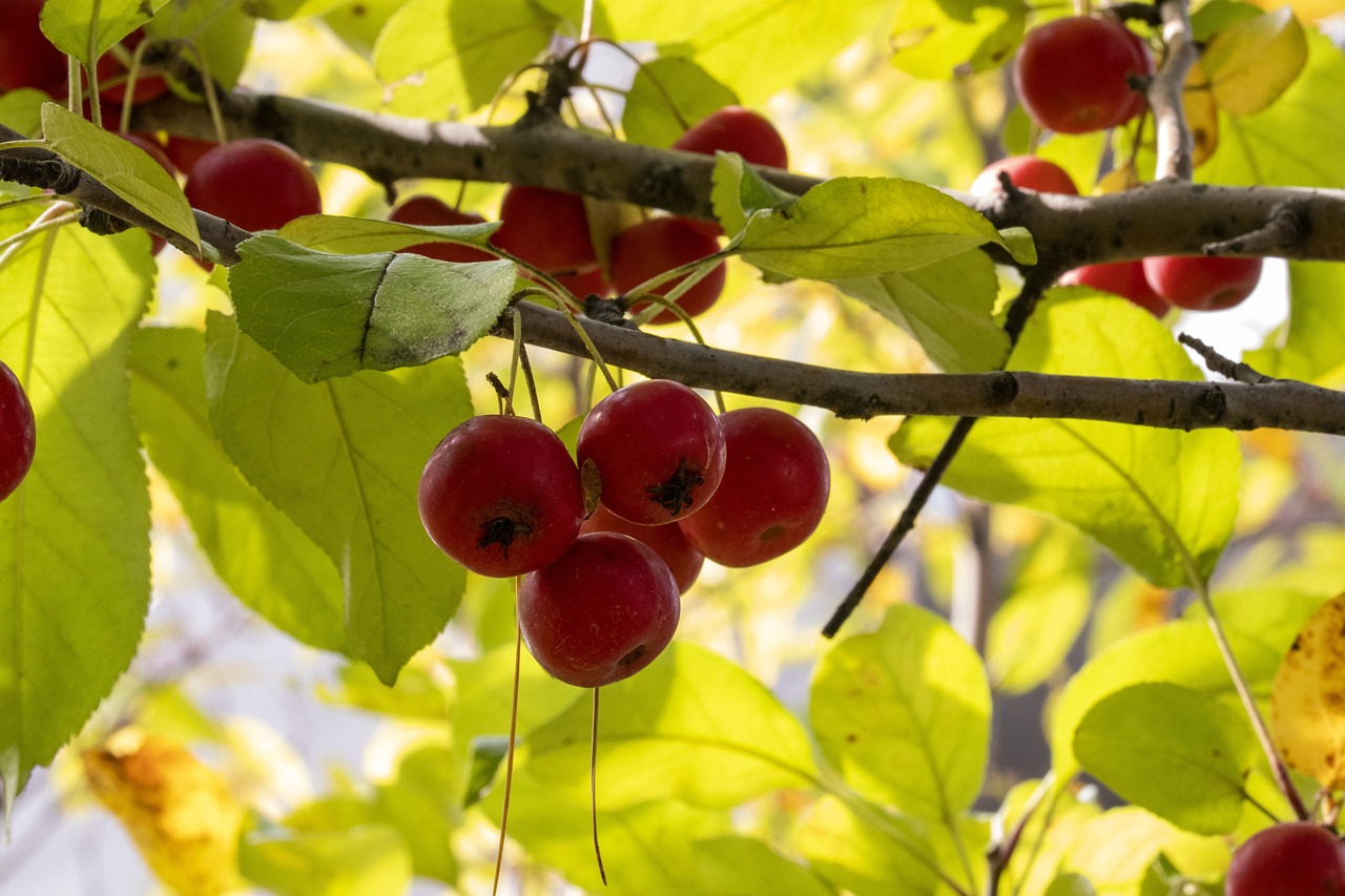 宿遷最新人事任免動態(tài)更新