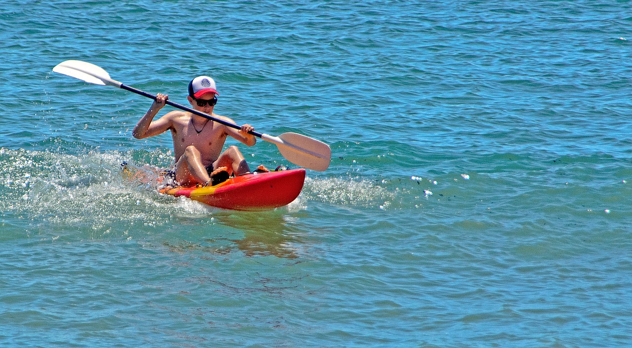 2024年12月 第256頁