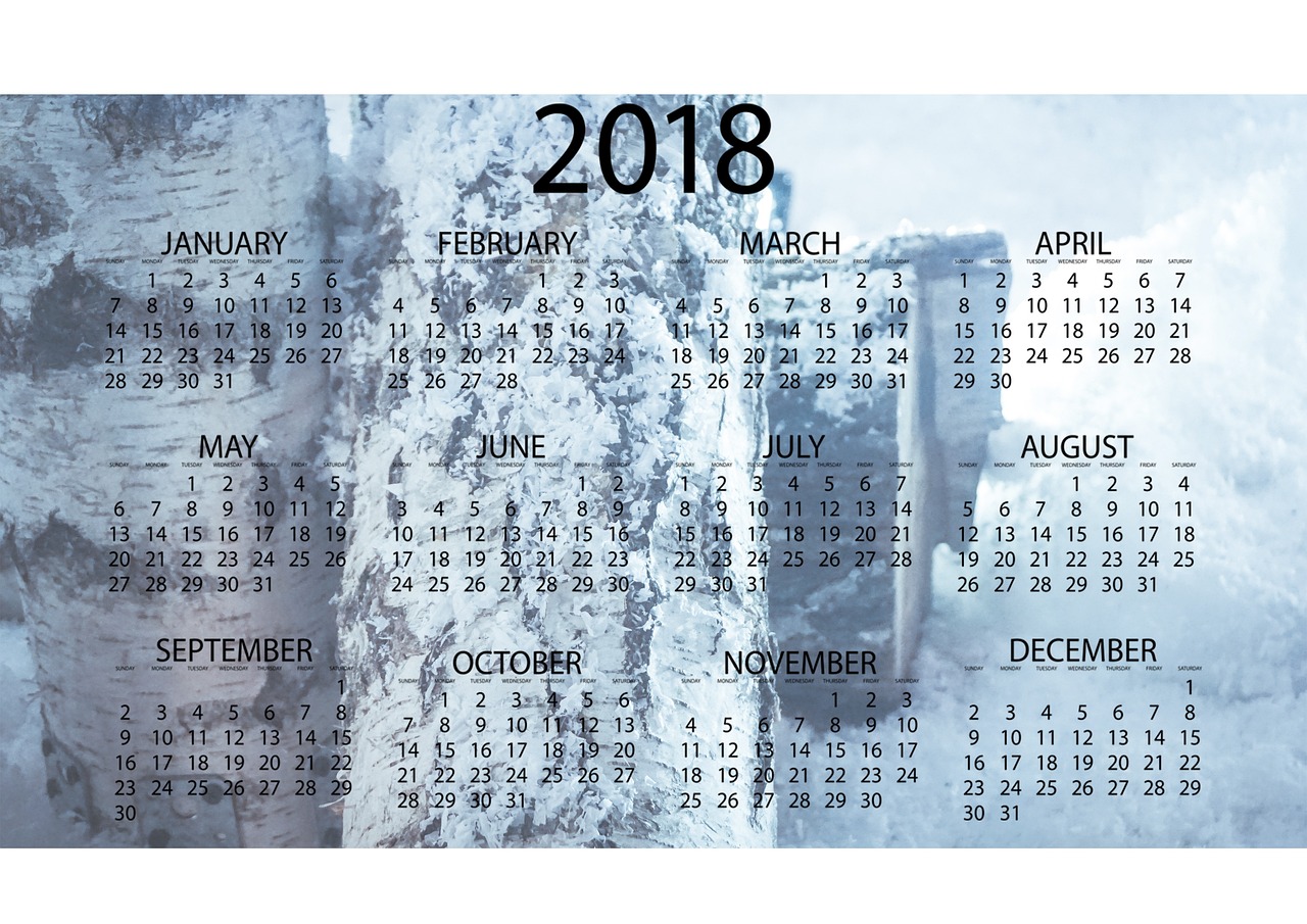 廣州疫情最新消息更新（XXXX年XX月XX日）
